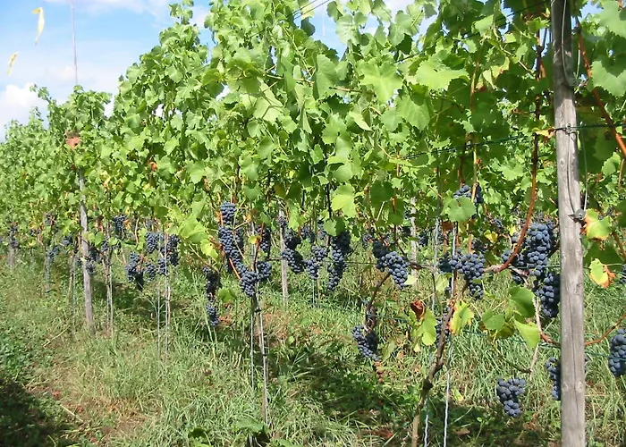 & - De Zeven Heuvelen Hotel Groesbeek